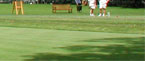 croquet equipment